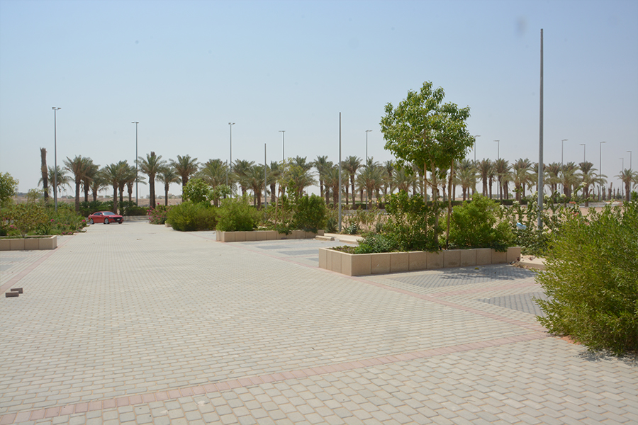 Diplomatic Quarter Park project Riyadh - Arabian Tile Company - ARTIC